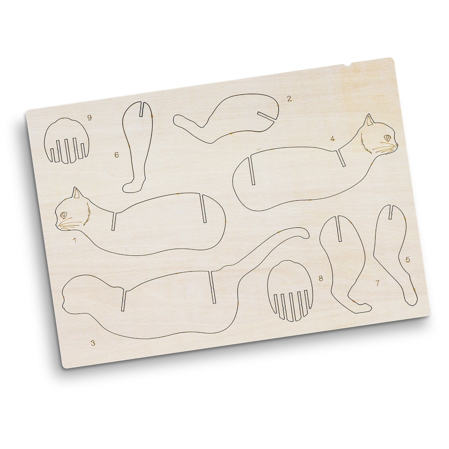 Flat Sheet