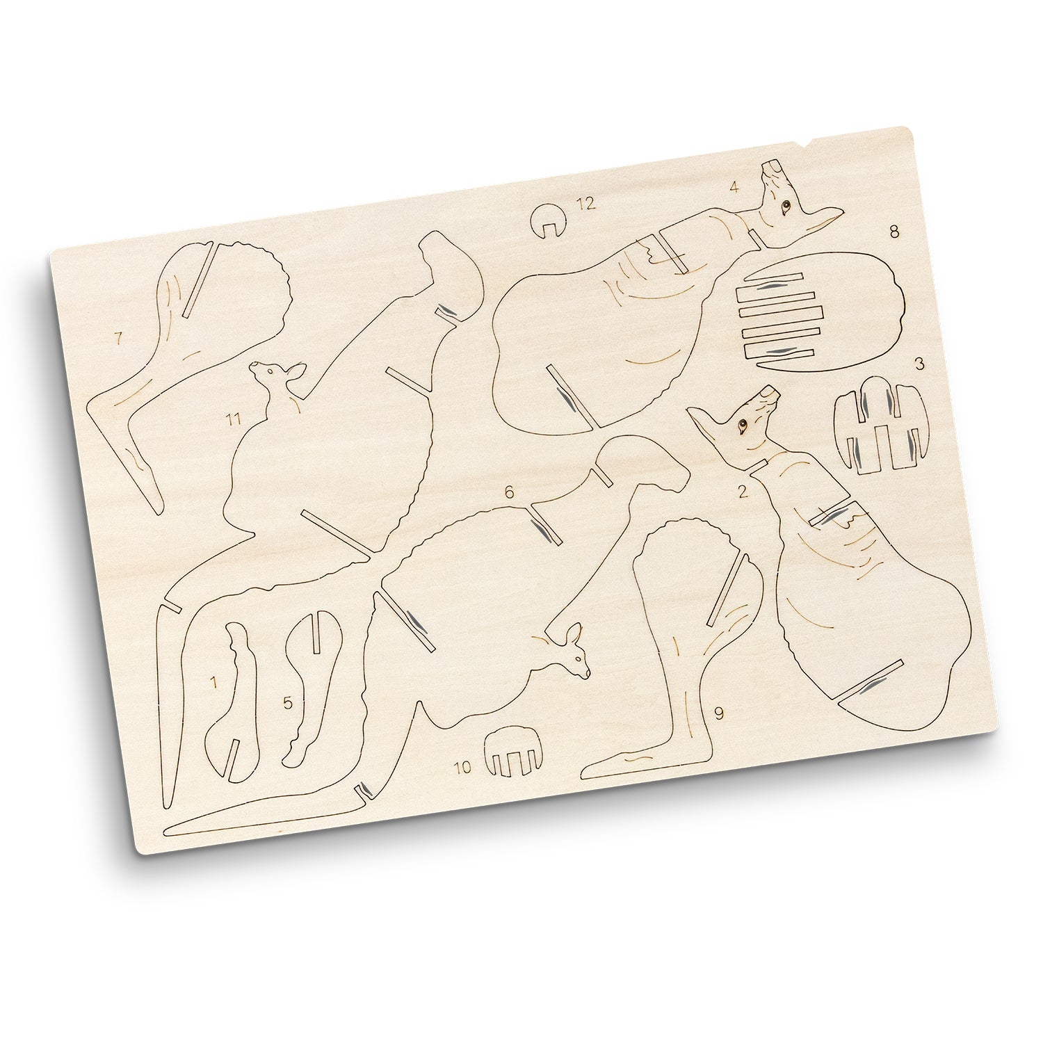 Flat Sheet