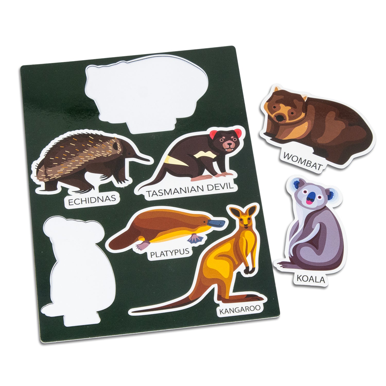 Magnet Sheet