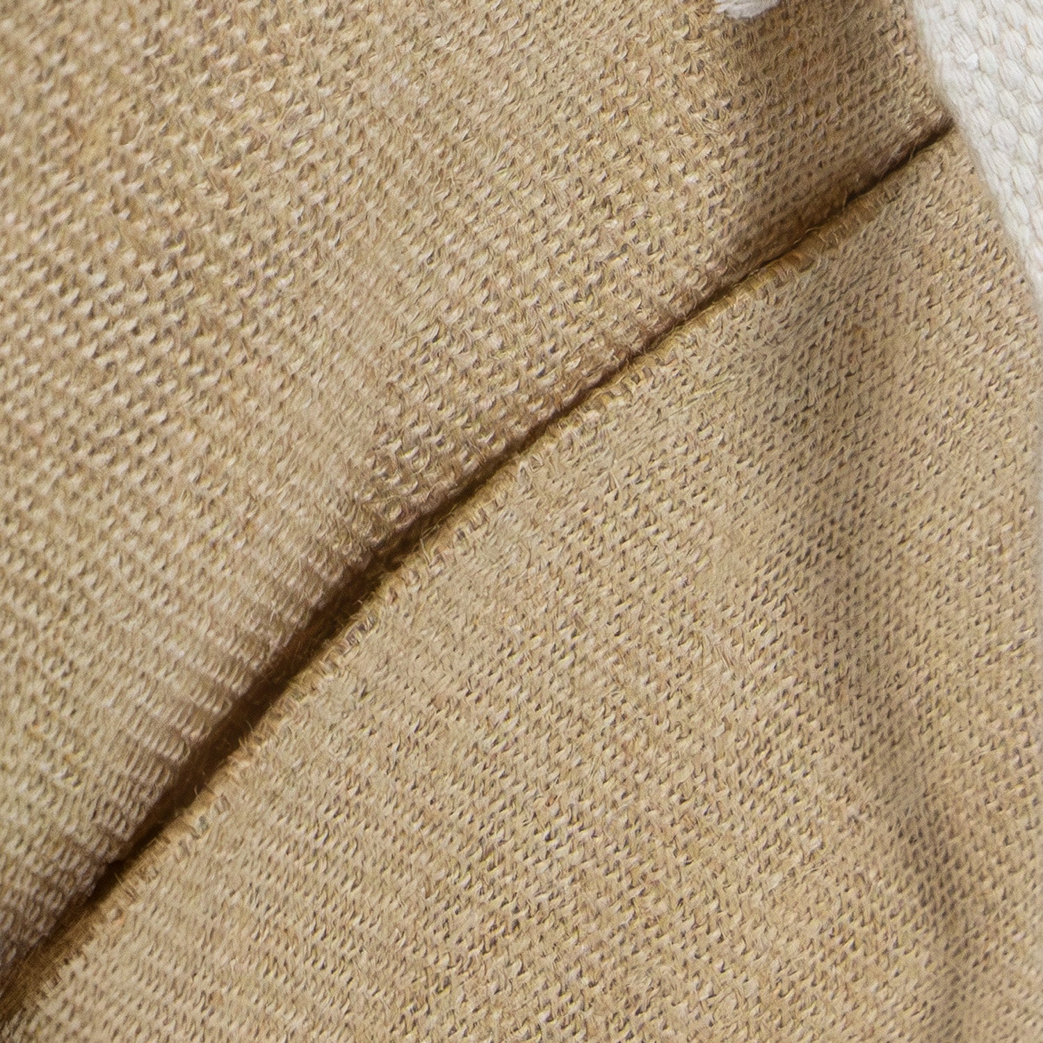 Pocket